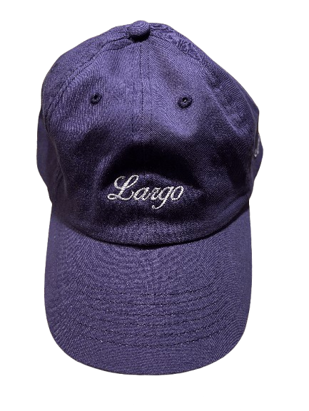 Purple Cool Hat